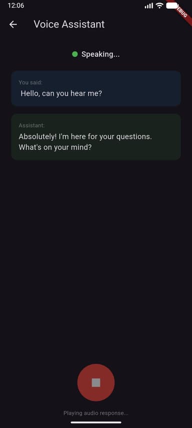 Voice Assistant app fully set up with conversation bubbles, speaking status, and audio playback