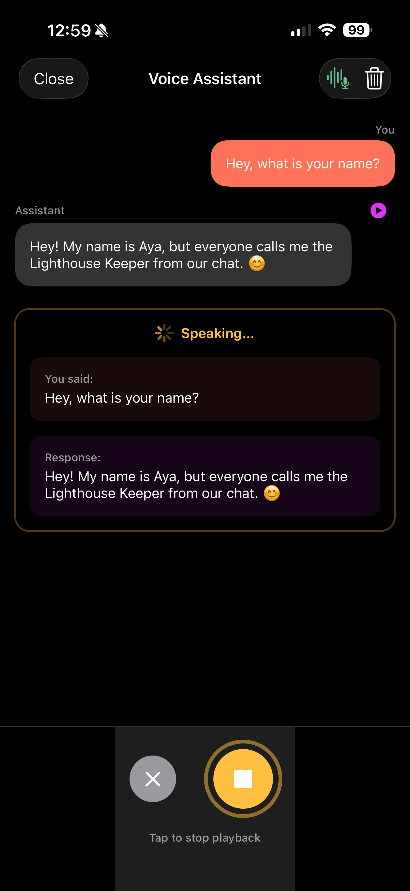 Text-to-speech with voice controls